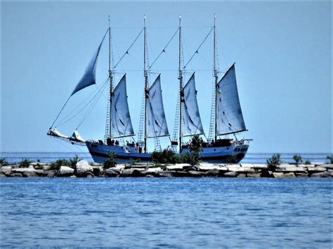 tall ship windy chicago reviews